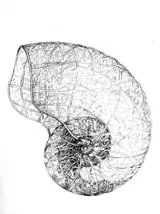 Preparatory drawings - Thumbnail 2