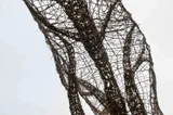 Inhale–Exhale: The Tree and Its Reflection - Thumbnail 4