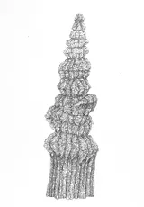 Preparatory drawings - Thumbnail 14