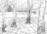 Preparatory drawings - Thumbnail 4
