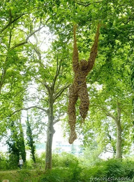 My Freer Life - Installation (2010) - Wild clematis  by Véronique Matteudi