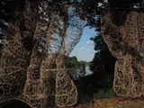Stage Curtain - Thumbnail 6