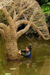 Inhale–Exhale: The Tree and Its Reflection - Thumbnail 7