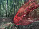 The Earth’s Intestine - Thumbnail 2