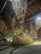 Exhibition “Etre vivant” - Thumbnail 4
