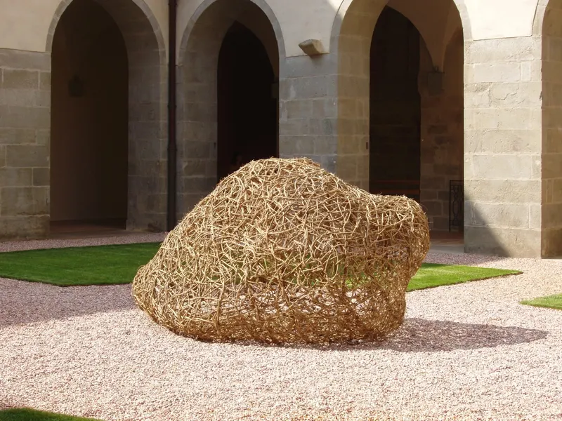 Protoforms - Installation (2011) - Wild clematis  by Véronique Matteudi