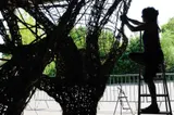 Inhale–Exhale: The Tree and Its Reflection - Thumbnail 3