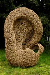 Network of Tangled Noises - Thumbnail 6
