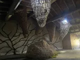 Exhibition “Etre vivant” - Thumbnail 7