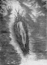 Preparatory drawings - Thumbnail 25