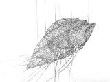Preparatory drawings - Thumbnail 13