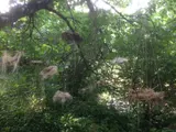 Raising awareness of biodiversity and its fragility - Thumbnail 3