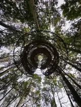 Weaving the Future - Thumbnail 2