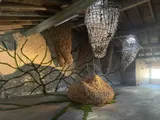 Exhibition “Etre vivant” - Thumbnail 1