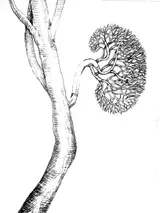 Preparatory drawings - Thumbnail 10