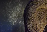 Network of Tangled Noises - Thumbnail 3