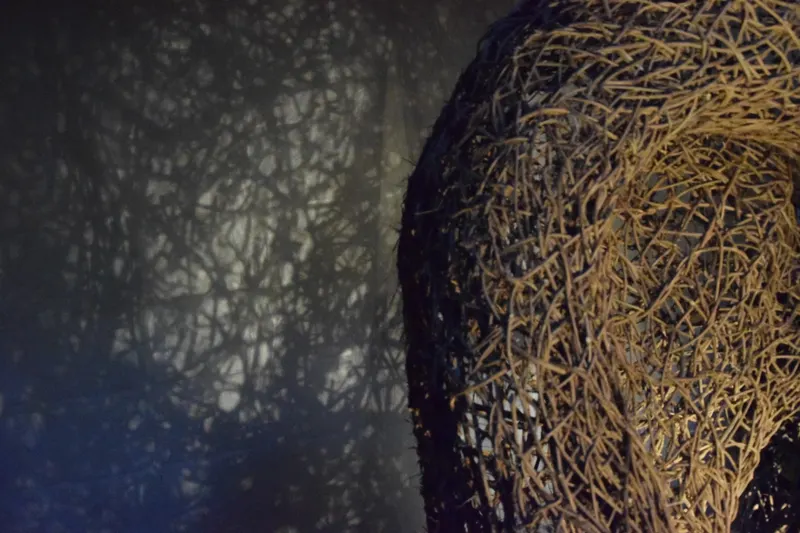 Light Sculpture - Sculpture (2016) - Wild clematis  by Véronique Matteudi