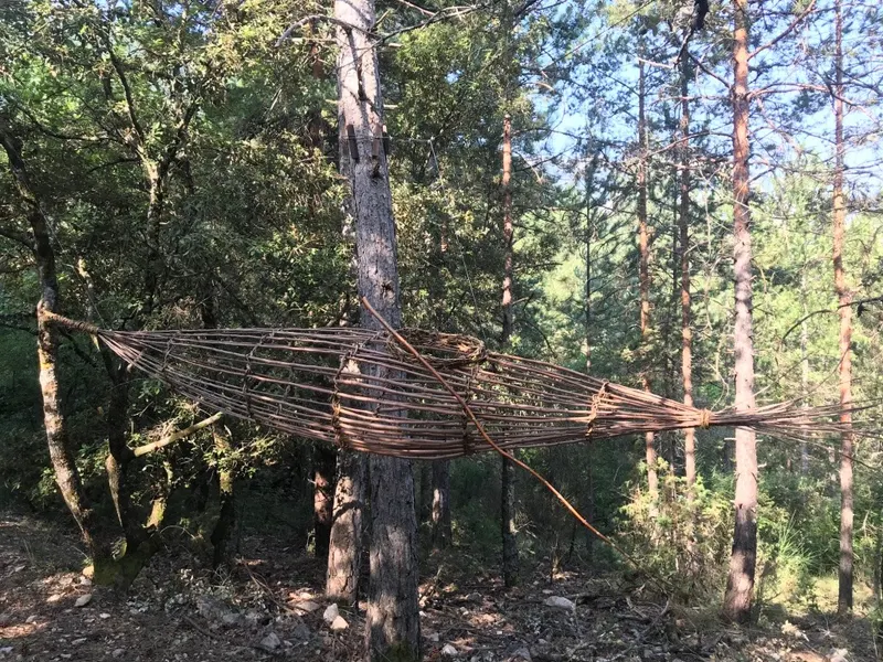 The Great Crossings - Installation (2024) - Mulberry plane tree and wild clematis by Véronique Matteudi