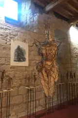 Exhibition - Thumbnail 6