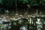 Raising awareness of biodiversity and its fragility - Thumbnail 2