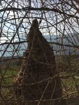Birth of a Mountain - Thumbnail 4
