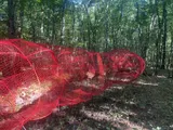 The Earth’s Intestine - Thumbnail 5