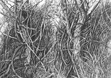 Countryside drawing - Thumbnail 6