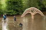 Inhale–Exhale: The Tree and Its Reflection - Thumbnail 6