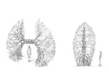 Preparatory drawings - Thumbnail 16