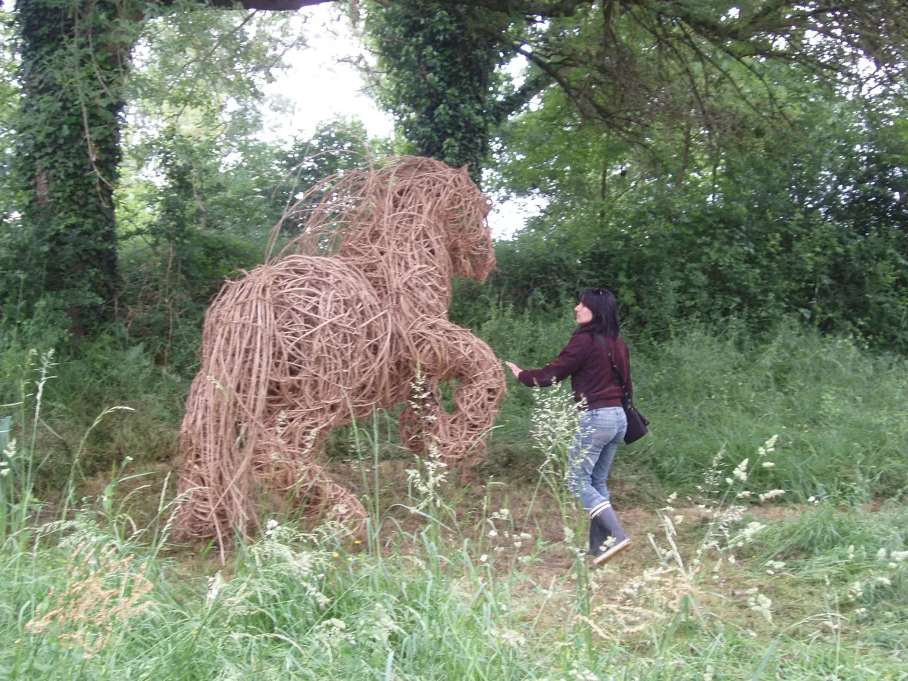 An Unwanted Horse - View 1