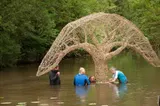 Inhale–Exhale: The Tree and Its Reflection - Thumbnail 5