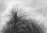 Countryside drawing - Thumbnail 8