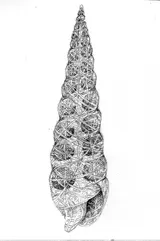 Preparatory drawings - Thumbnail 6