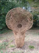 The Nautilus - Thumbnail 2