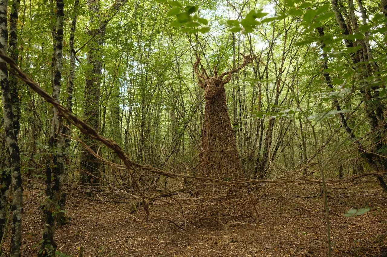 The Spirit of the Forest - View 1 of 6