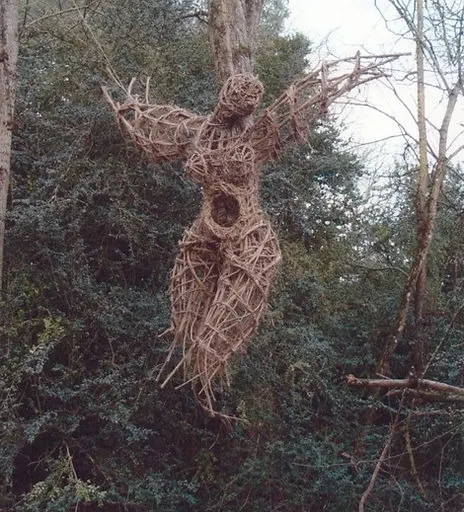 An Encounter - Installation (2002) - Wild clematis  by Véronique Matteudi