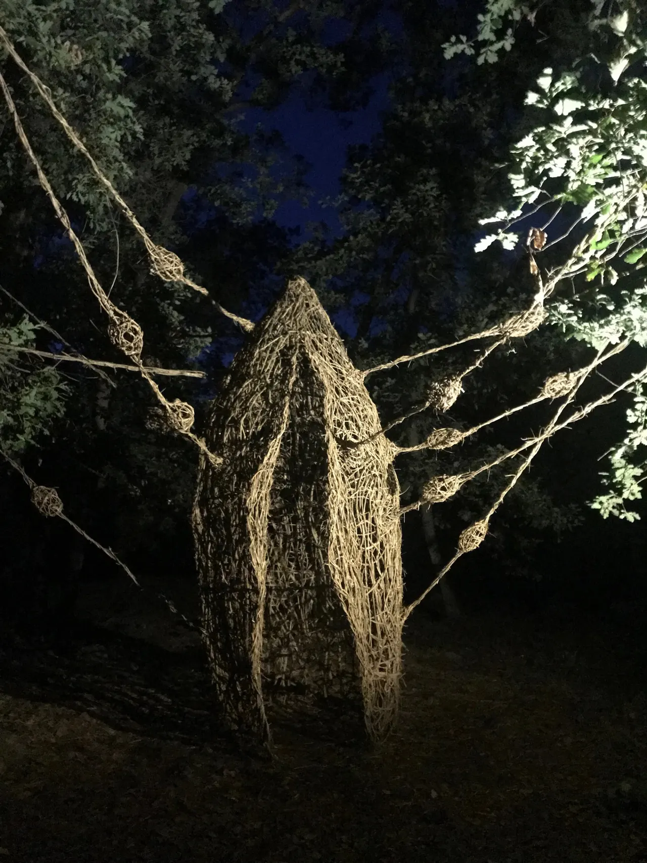 Regenerescence - View 1 of 7
