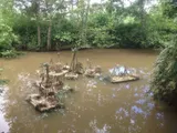 Raising awareness of biodiversity and its fragility - Thumbnail 4