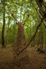 The Spirit of the Forest - Thumbnail 5