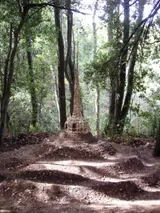 Along the Wood Grain - Thumbnail 1