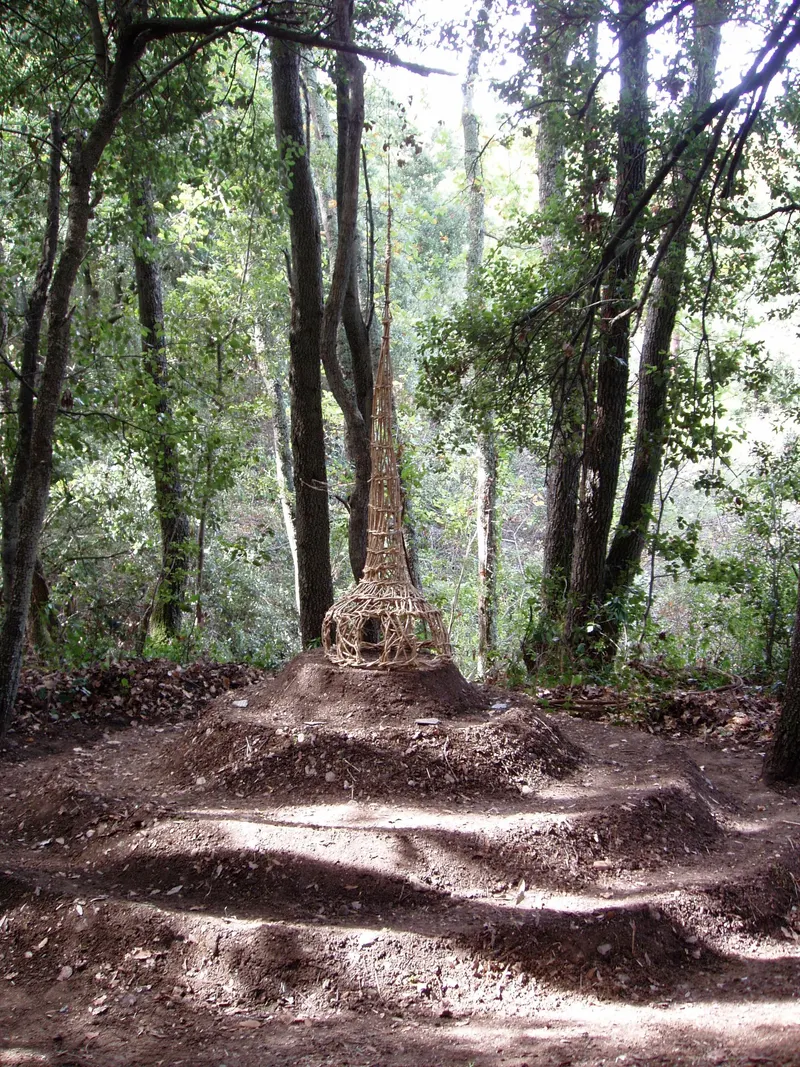 Along the Wood Grain - Installation (2007) - earth ground and wild clematis by Véronique Matteudi