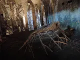 This Is My Body - Thumbnail 1