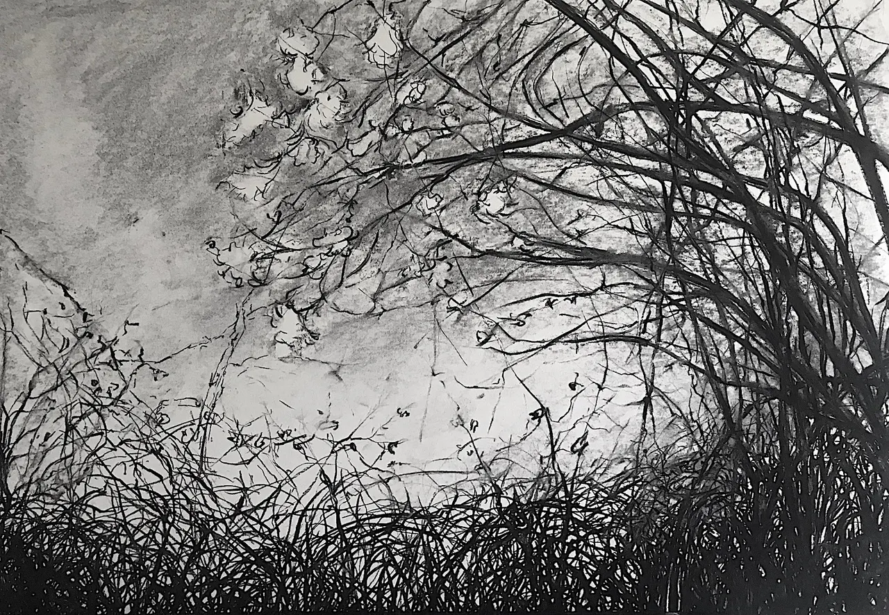 Countryside drawing - View 1 of 8