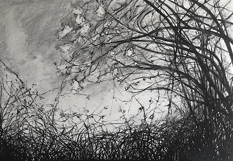 Countryside drawing - Dessin (2024) - charcoal by Véronique Matteudi