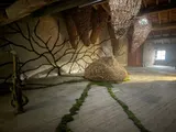 Exhibition “Etre vivant” - Thumbnail 3