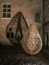 The seed - Thumbnail 4