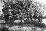 Countryside drawing - Thumbnail 5