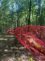 The Earth’s Intestine - Thumbnail 3