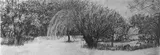 Countryside drawing - Thumbnail 4