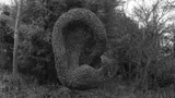 Network of Tangled Noises - Thumbnail 9